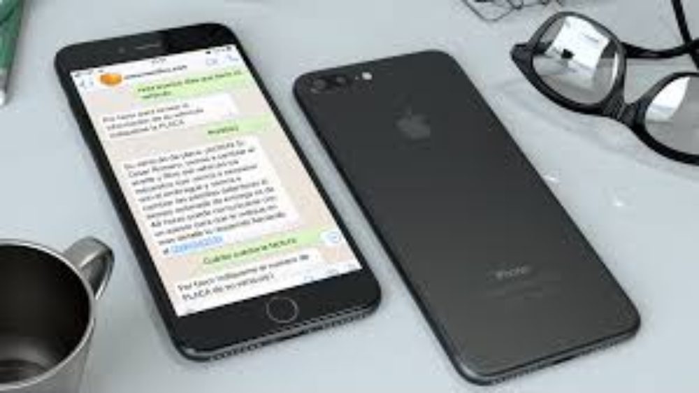chatbot whatsapp